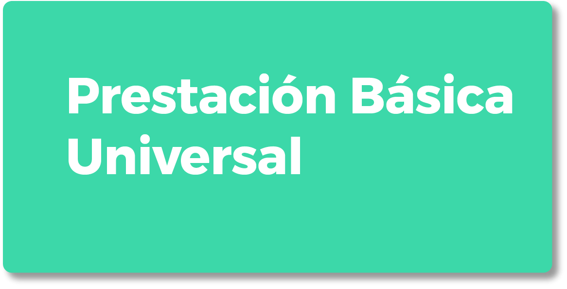 Prestacin Bsica Universal