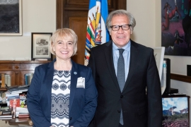 Imágen de Silvana Giudici se reuni con Luis Almagro
