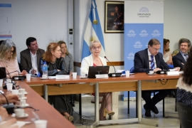 Imágen de Silvana Giudici ante la Comisin de Comunicaciones e Informtica de la Cmara de Diputados